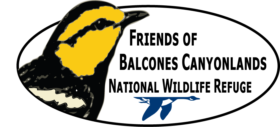 Friends of Balcones Canyonlands National Wildlife Refuge Website